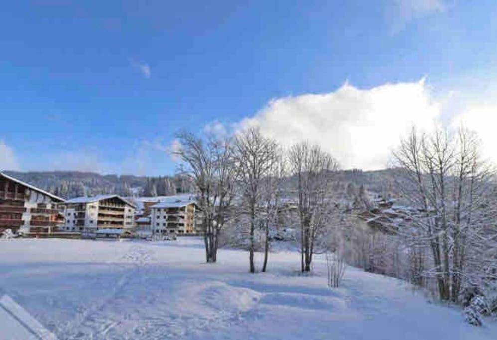 Apartment Balcon Des Gets, Superb Located Charming